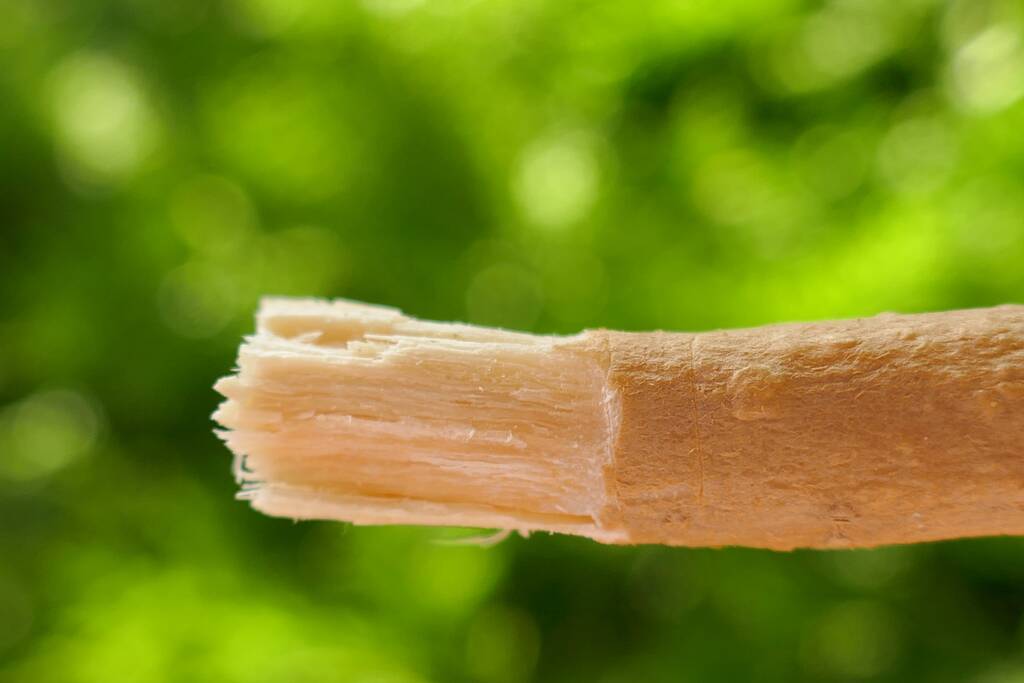 Free Bundle - Organic Miswak Stick for Teeth